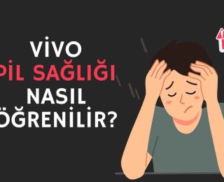 Vivo Pil Sağlığı Nasıl Öğrenilir?
